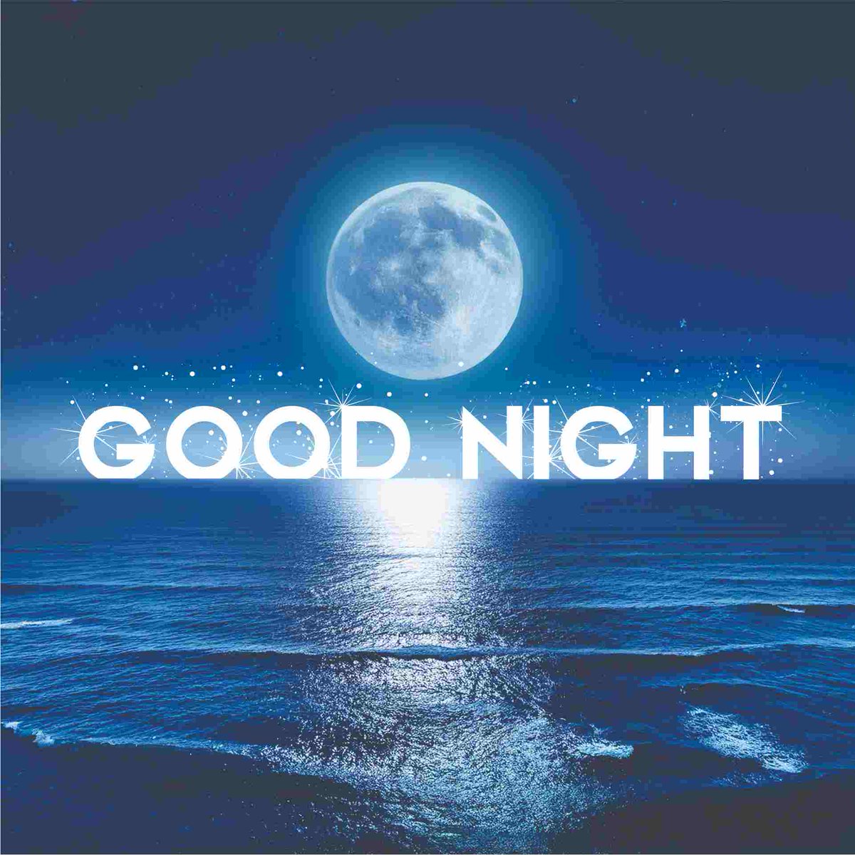 🦋Ritika 🦋 🐦 tweet media