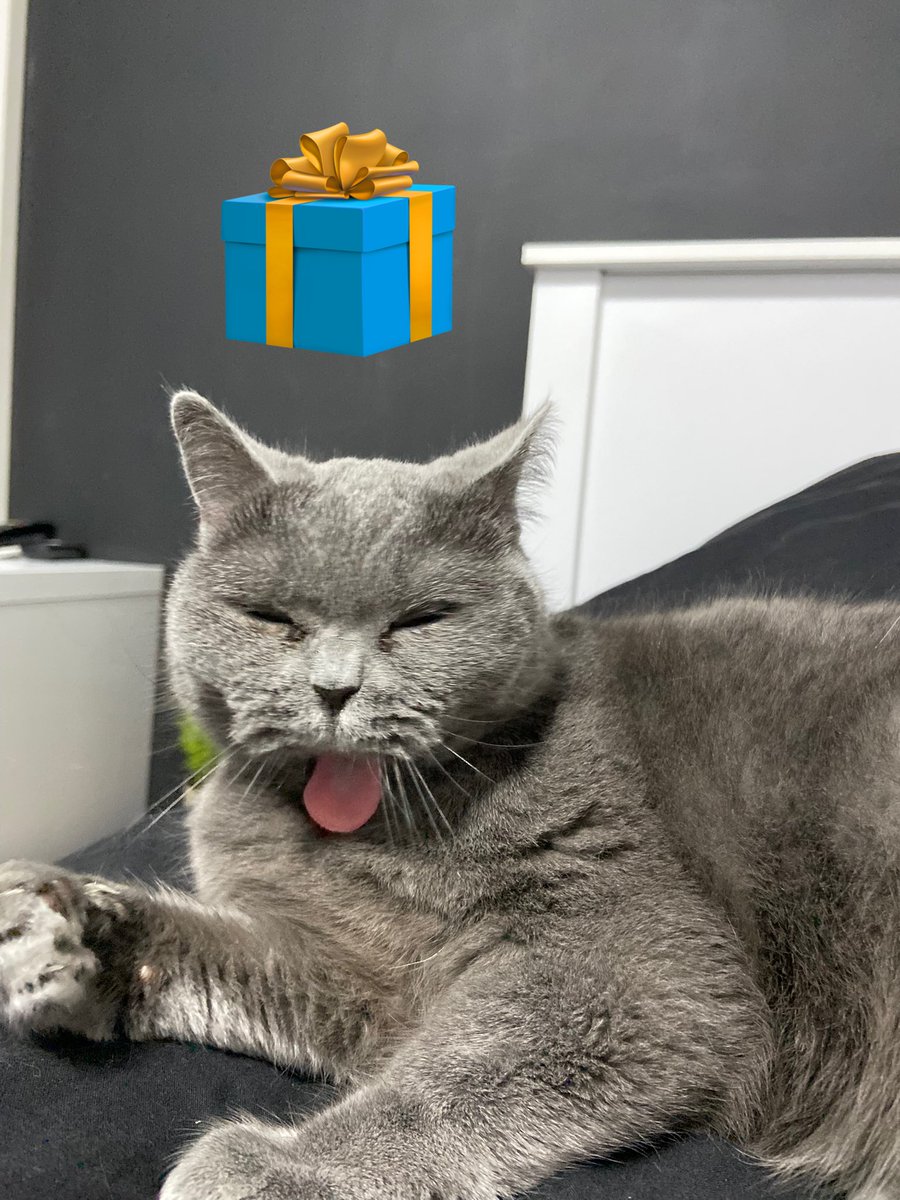 gluten69 tweet media