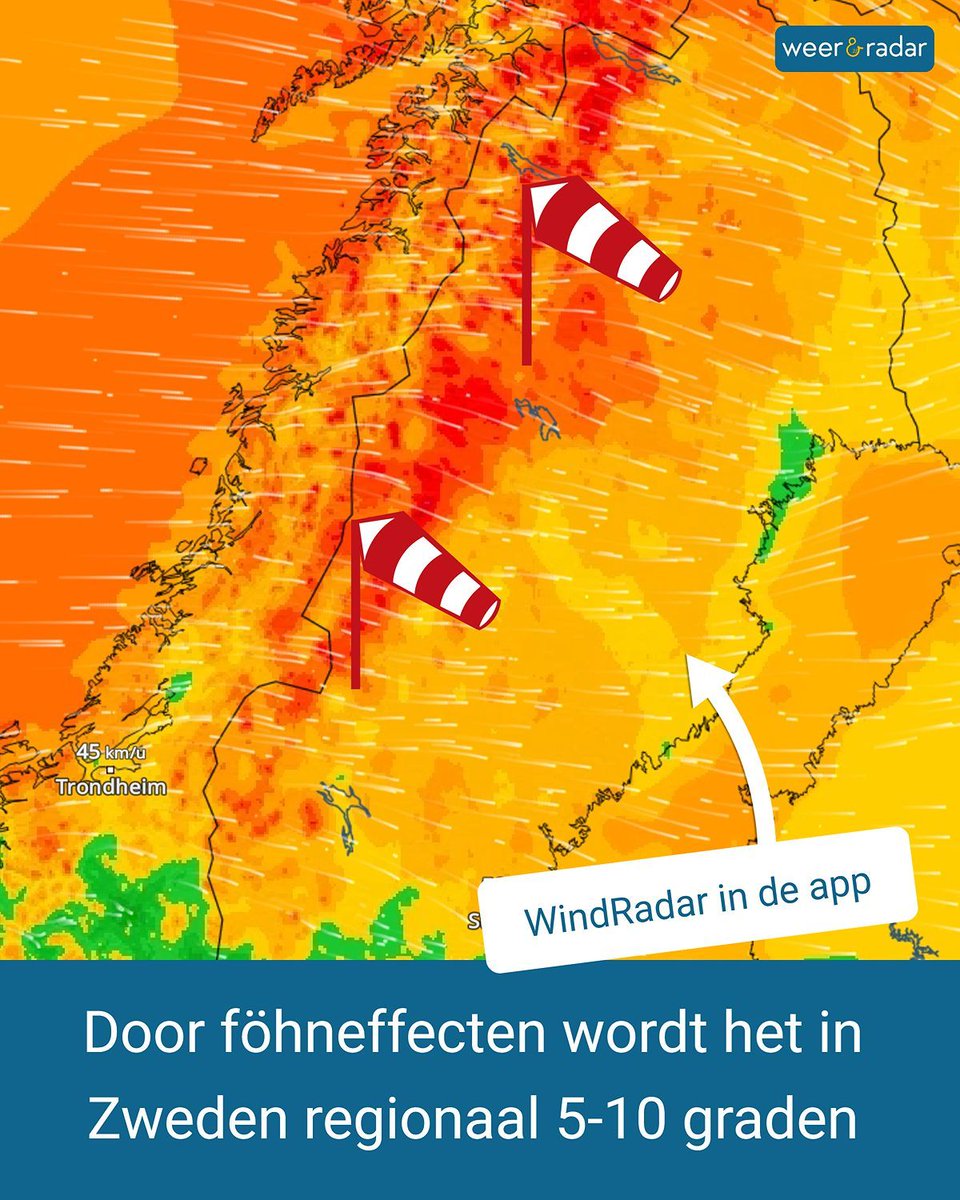 weerenradar_be's tweet image. Geen winterse kerstdagen in grote delen van Scandinavië!❌☃️ Op veel plekken tot boven de poolcirkel vriest het niet en regionaal loopt het kwik op tot wel 10 graden.

#weernieuws #weerupdate #kerstweer #hetweer #scandinavië #zweden #noorwegen #lapland