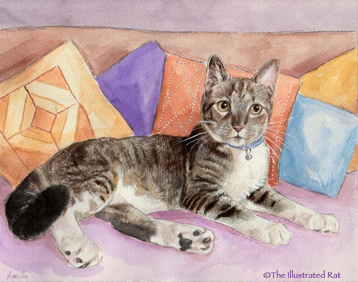 Road Cat 8 x 10" watercolor. #theillustratedrat #petportrait #watercolorpainting #catart
For Jamie.