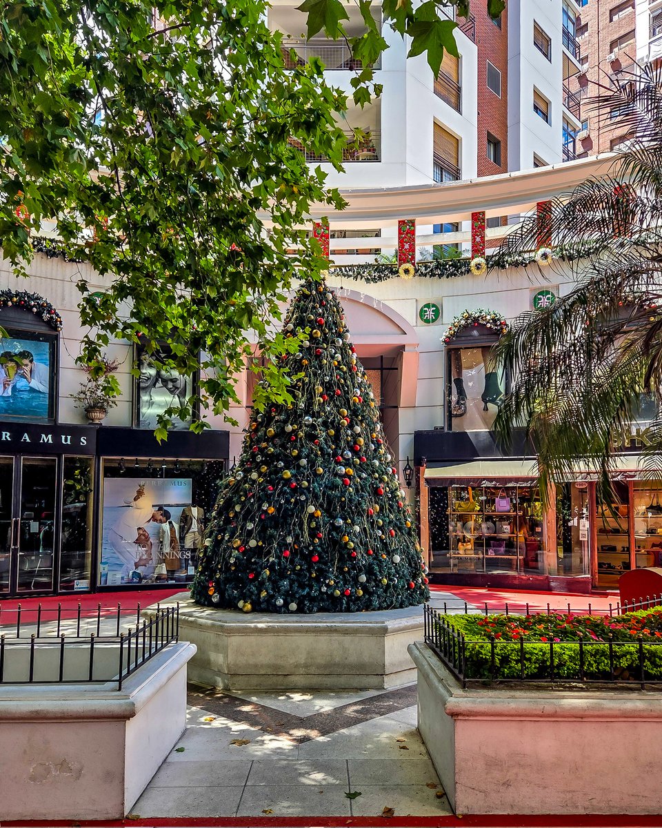 BALandscapes's tweet image. Belgrano en modo navideño. 
 
Espero que pasen una excelente navidad. 
Que pasen una noche en paz ya sea en familia, amigos, con mascotas o solos.