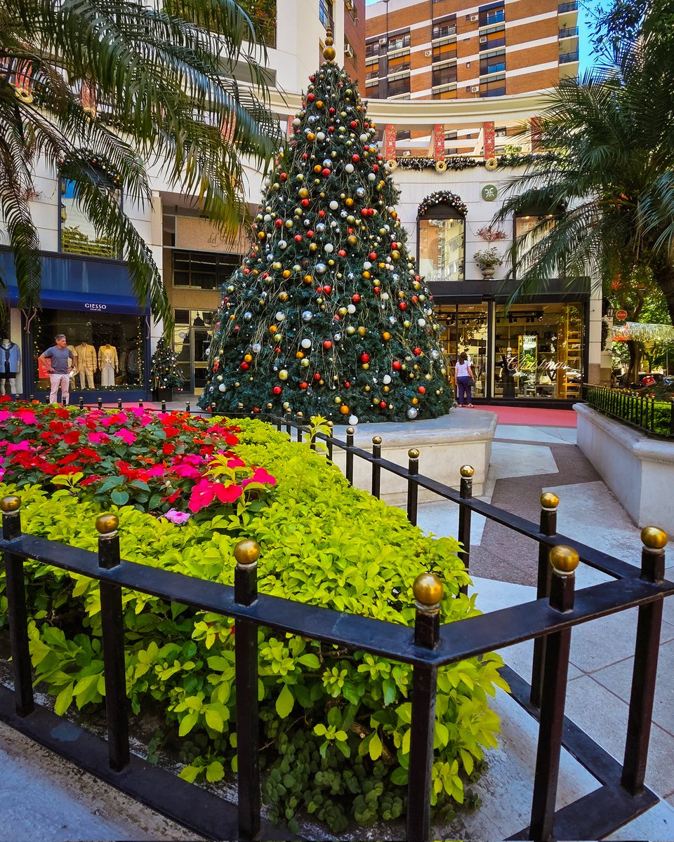 BALandscapes's tweet image. Belgrano en modo navideño. 
 
Espero que pasen una excelente navidad. 
Que pasen una noche en paz ya sea en familia, amigos, con mascotas o solos.