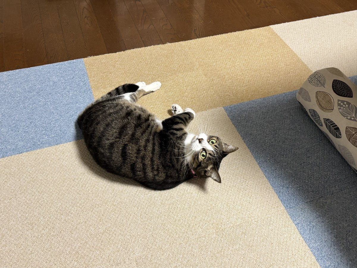 みふゆ(三冬) (@mifuyu_916) / Posts / X