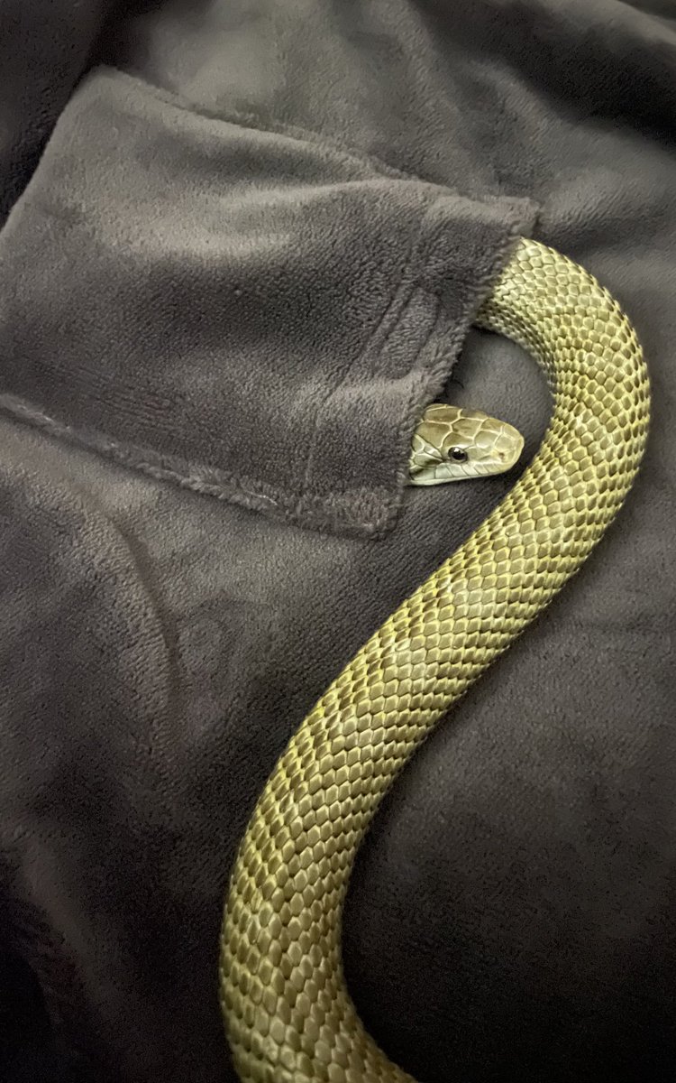 KAL_2022810's tweet image. なーにしとんの