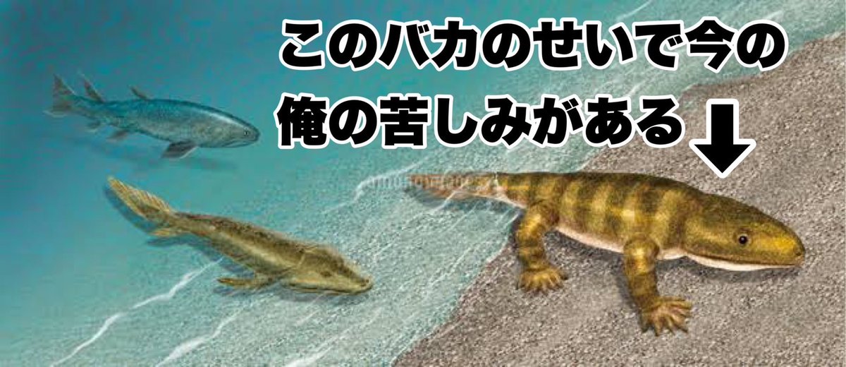 8trju's tweet photo. この画像めっちゃ笑った https://t.co/MiOX3h1JVb