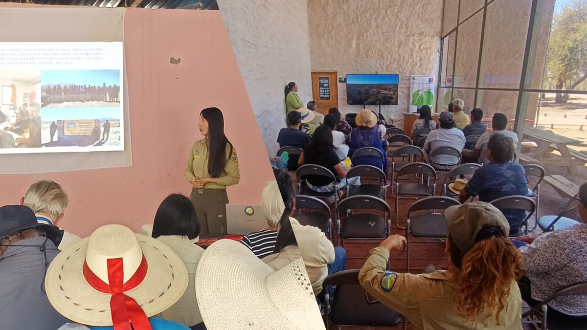 Áreas protegidas de #Tarapacá realizaron Cuenta Pública 2025 📊

La Reserva #PampadelTamarugal🌿 y el Parque #VolcánIsluga🏔️ presentaron sus principales avances de gestión, los desafíos actuales y las proyecciones para la protección de estos ecosistemas 📲conaf.cl/areas-protegid…