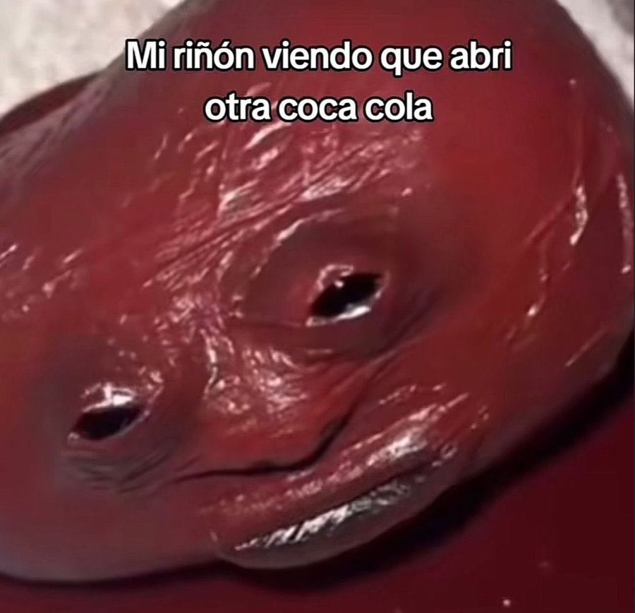 tomiezequiel15's tweet image. 