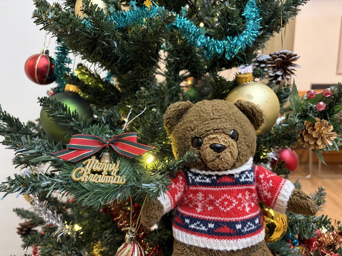 taro_moonbear's tweet photo. クリスマス＆たんじょうび🎄🎂 https://t.co/MdUIZyUJVM