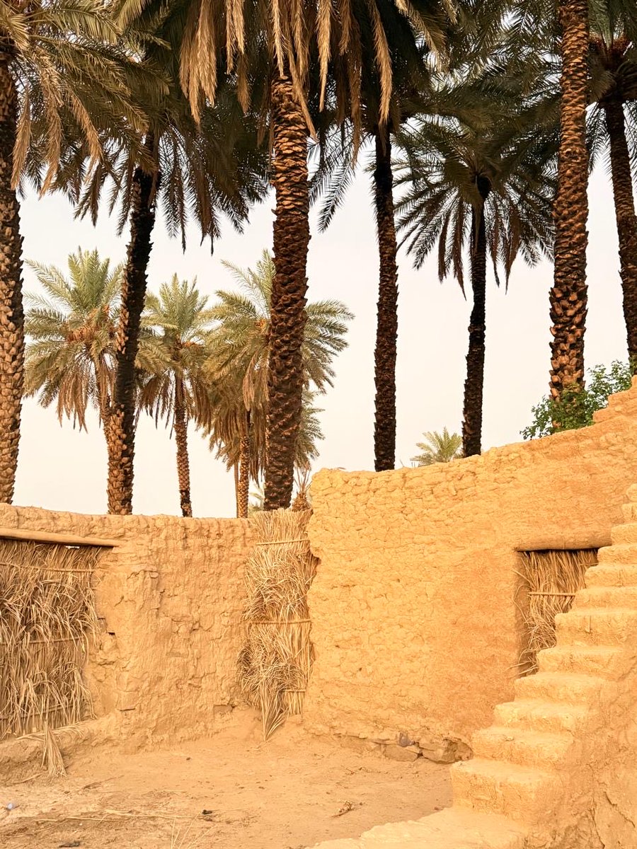 xller20's tweet image. حبيييت 🤙🏻