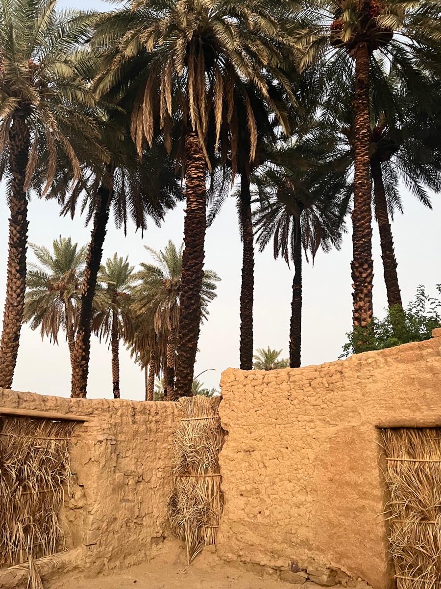 xller20's tweet image. حبيييت 🤙🏻