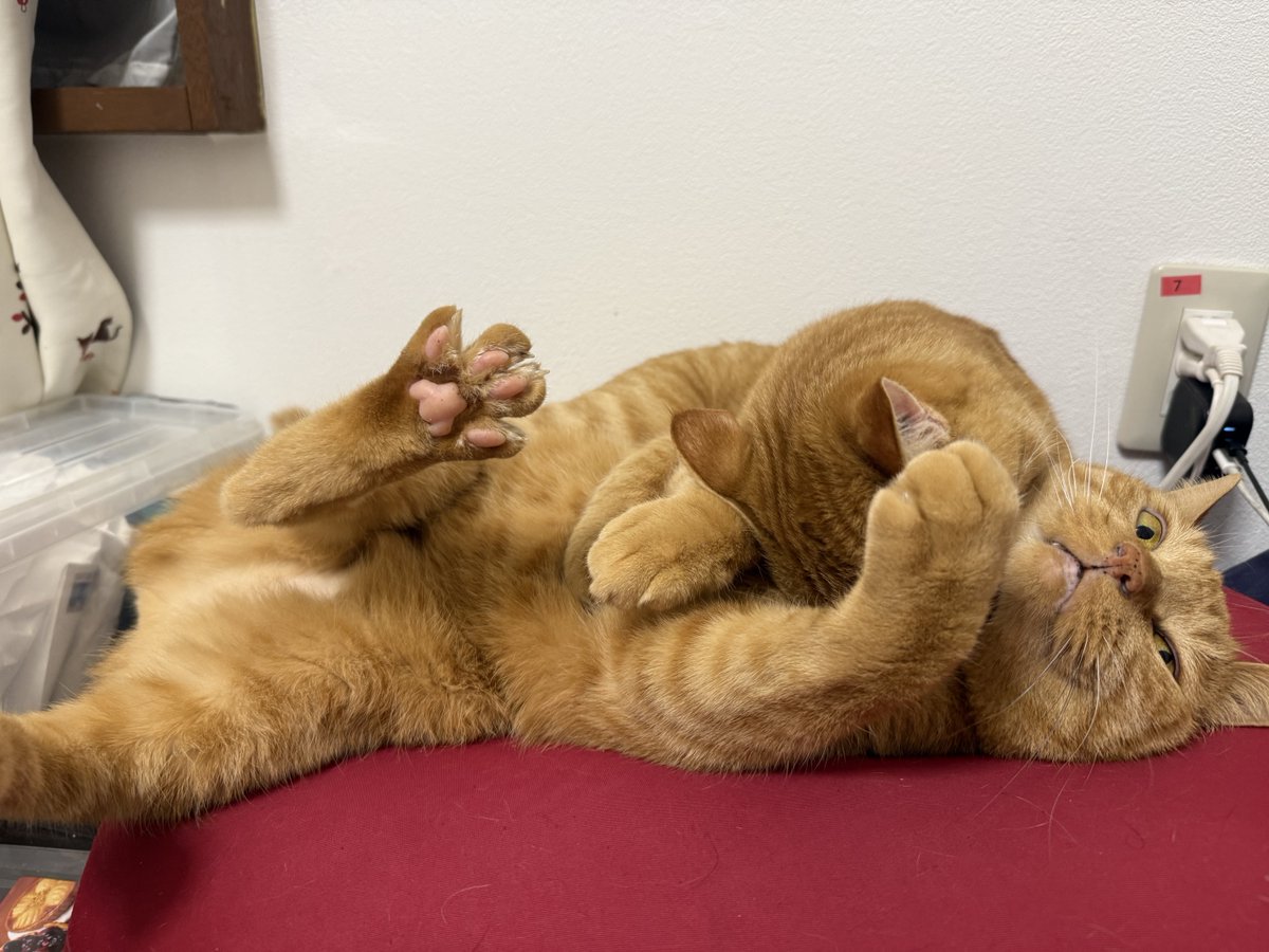 【なるるる】オキュパイドジャパン ハイキングする少年 No.208 Amazon.co.jp: 月刊 湘南爆走族付録ポスター吉田聡 漫画アニメヤング