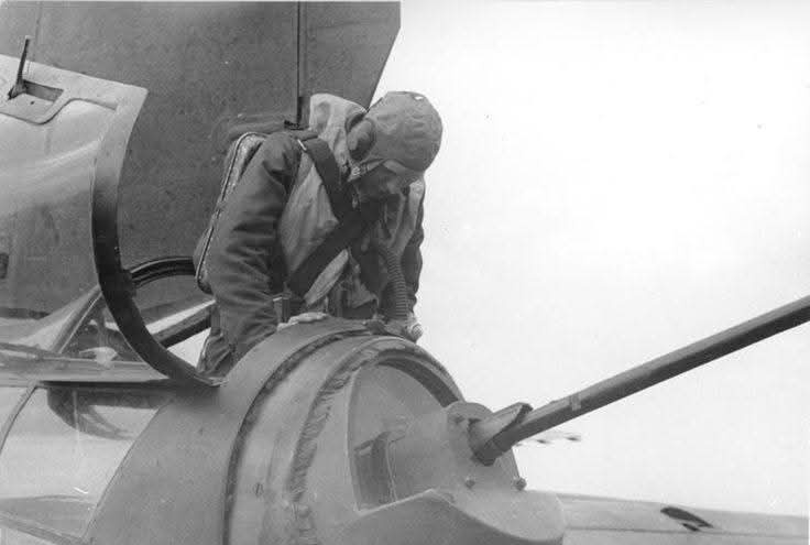 TRUFAULT's tweet photo. Heinkel He-177A1 "Greif" es sin duda, el #bombardero más bonito de toda la #WW2*
*Bajo mi criterio, claro.
¿Y el tuyo, cual es?
🇩🇪💥
#WW2 #WWII #Luftwaffe #bomber #heinkel #He177 https://t.co/FyUPIqhf21