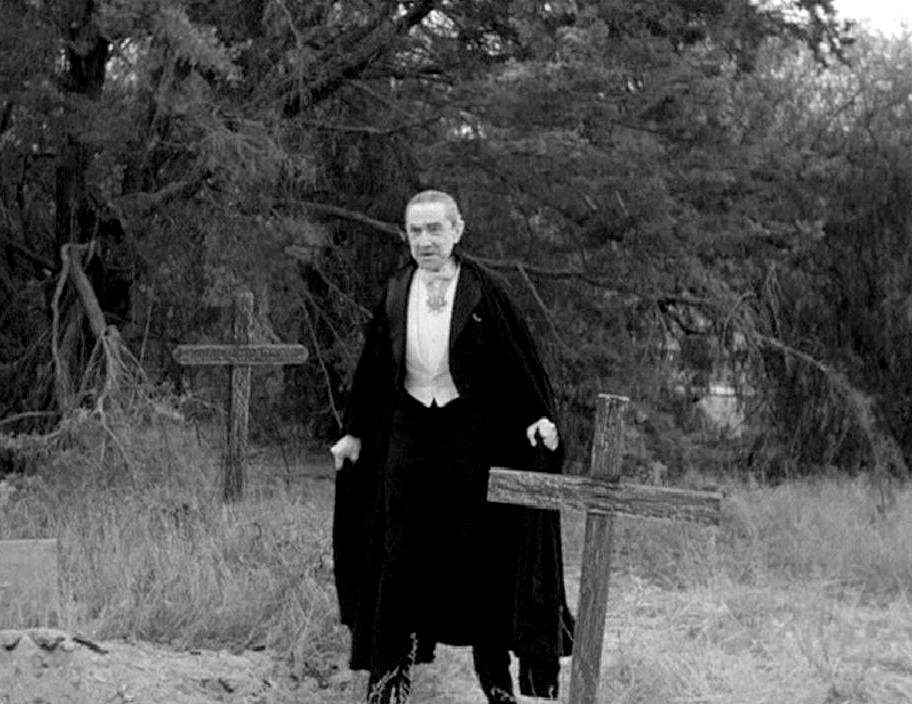 Off Beat Cinema ☕️ 🎥 tweet media