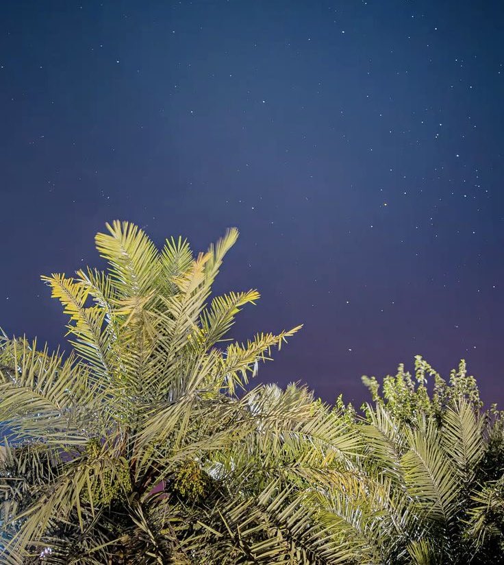 مسـاء الخير ☕️.