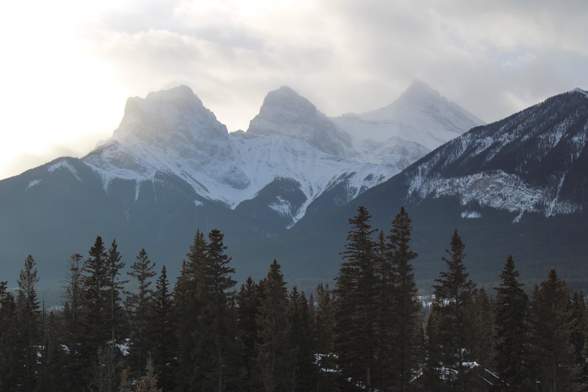 John Dearborn tweet media