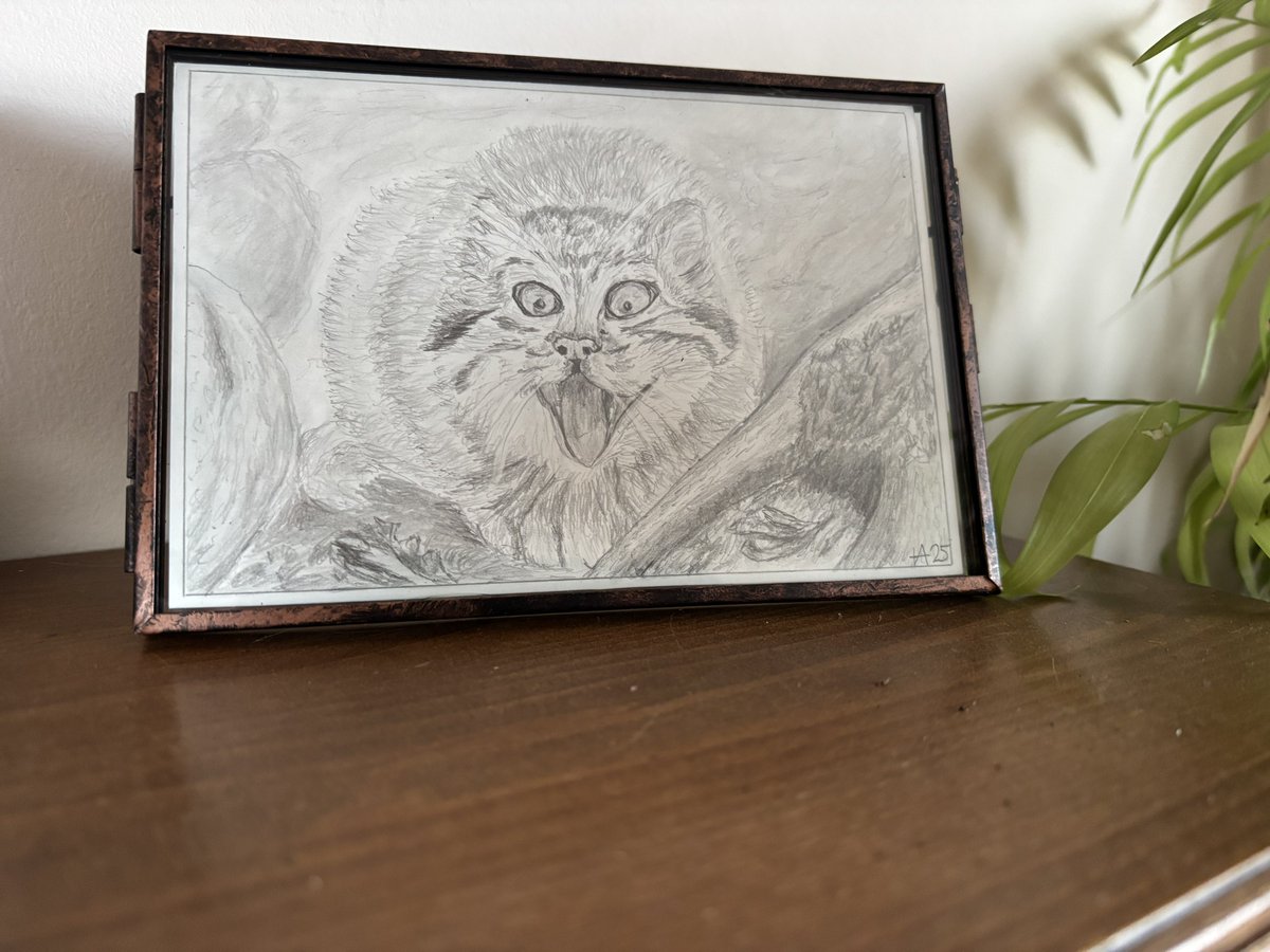 Early Xmas present from gf 😻