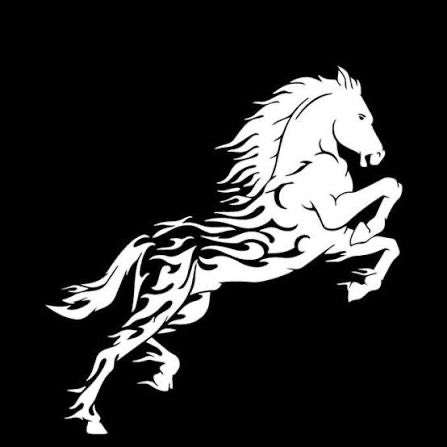 horsefirecoin's tweet photo. The world moves fast, and there is no more appropriate symbol to describe speed and toughness than the Horse 🐎

Let’s make your future 

#cripto 
#Coinbase 
#coinfuture https://t.co/PHqG1zf6iA