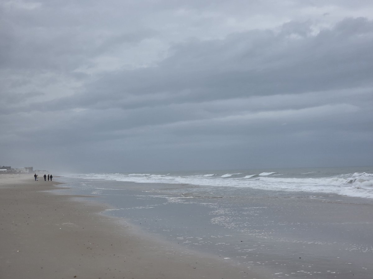 Frank Sharp tweet media