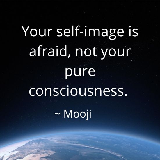 Zen masters (@zenm001) on Twitter photo 