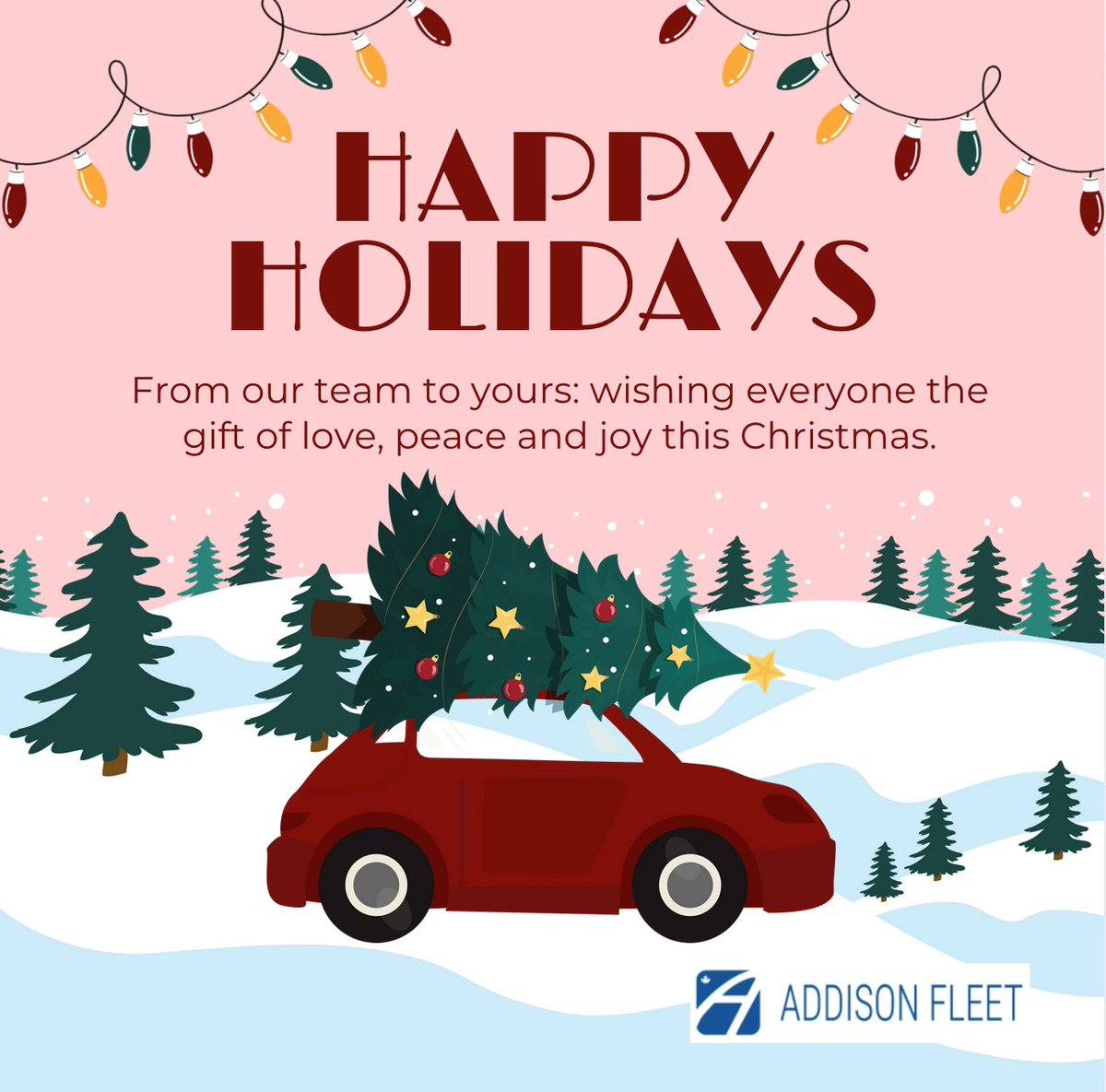 Addison Fleet tweet media