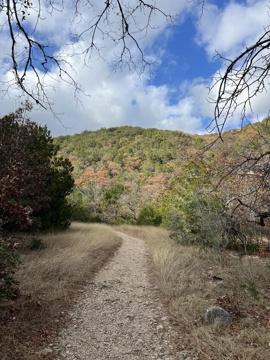 Lee Self tweet media