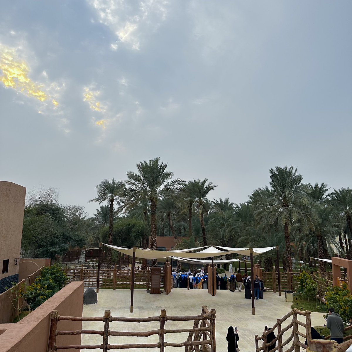 اُسامه | Osama (@_alayda) on Twitter photo 