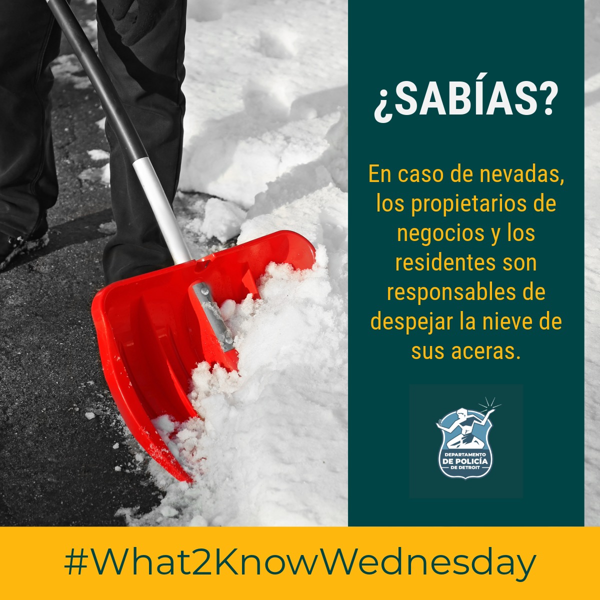Policia de Detroit (@policia_detroit) on Twitter photo 