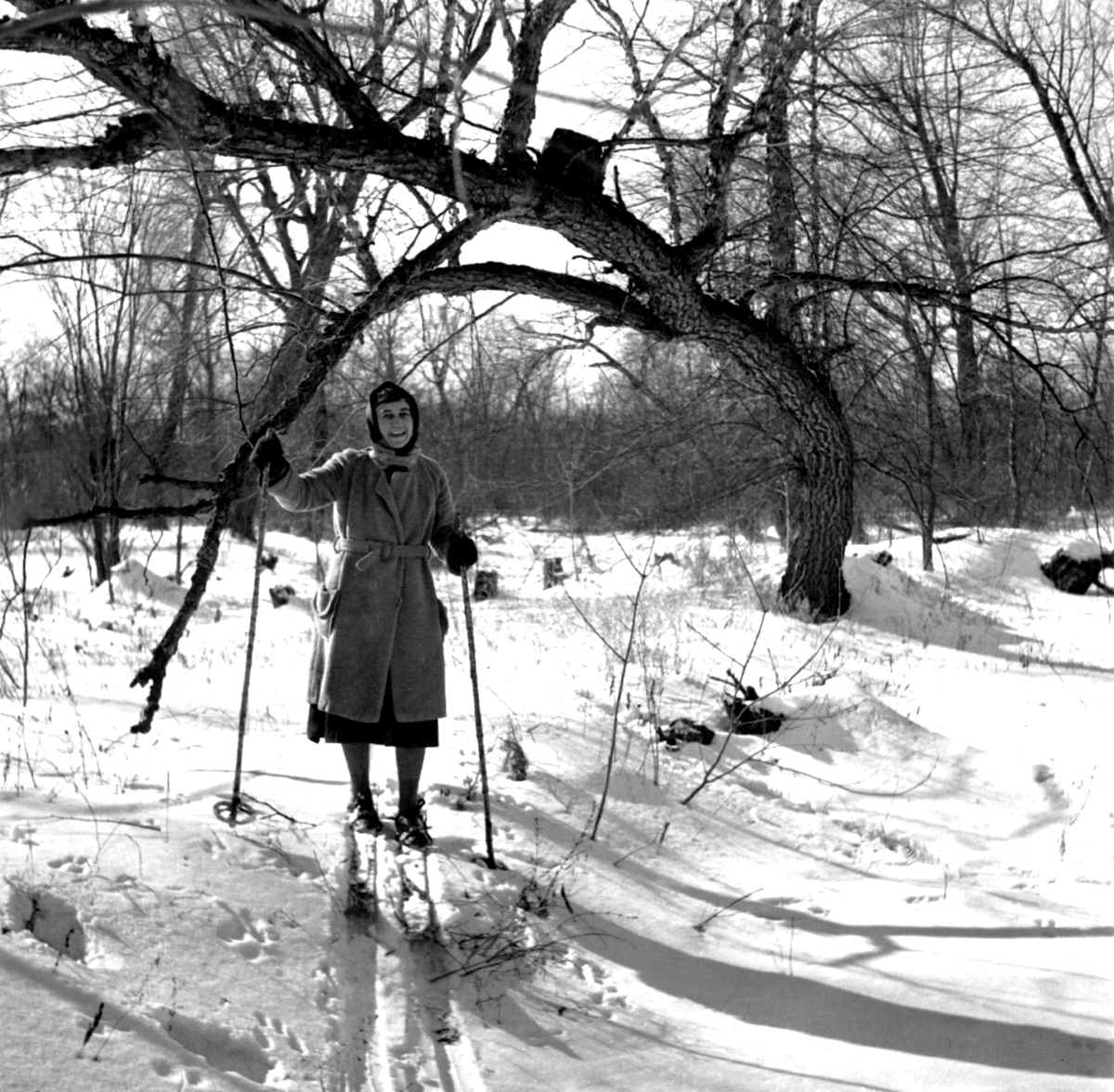 AldoLeopoldFdn's tweet photo. All of us at the Aldo Leopold Foundation wish you a happy holiday season! May this time of year be filled with peace, love, and wild things. ❄️

Image: Estella Bergere Leopold, Aldo's wife, skiing near the Shack, February 1937. https://t.co/JQTVSZDYT7