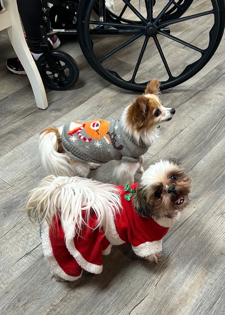 NextStepHC's tweet image. We hope you're all having a wonderful holiday season! The Landing at Laurel Lake has certainly been enjoying the festivities. 🎷🎅🏼🎄 #HappyHolidays #PetTherapy #Santa