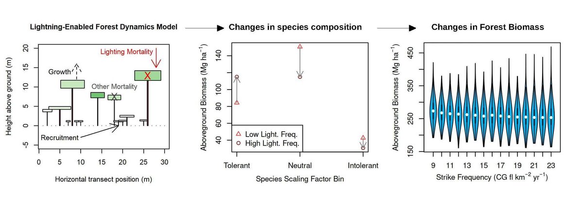Global Change Biology tweet media