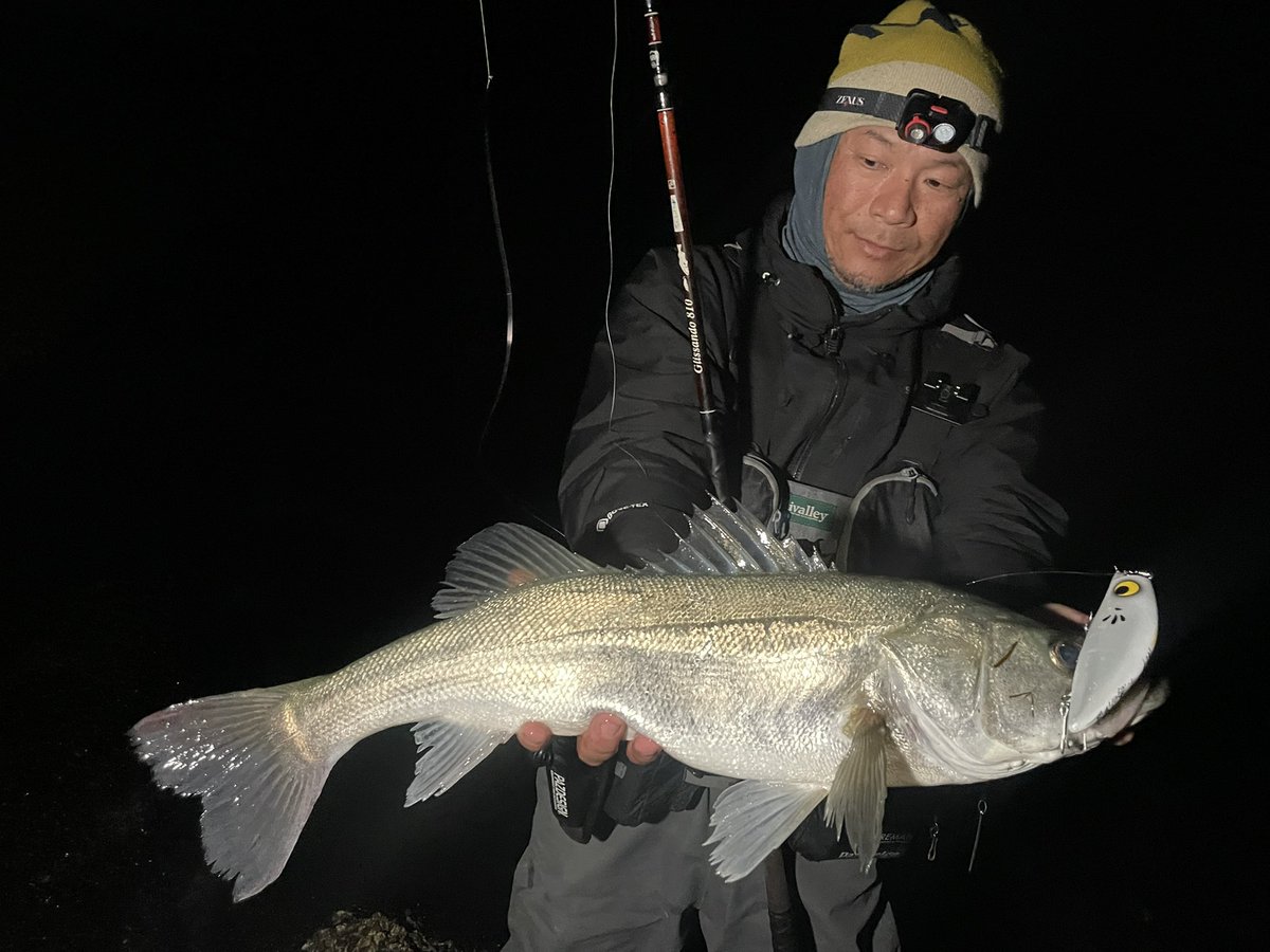 Ridgeline official (@ridgeline_tw) / Posts / X