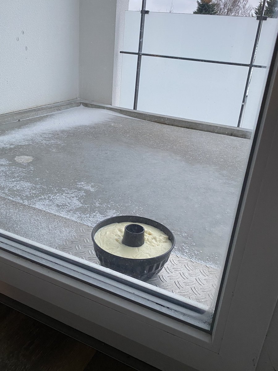 MundoBrandao's tweet image. top 10 coisas q eu  nunca imaginei na vida q um dia faria tendo nascido quase embaixo da linha do equador