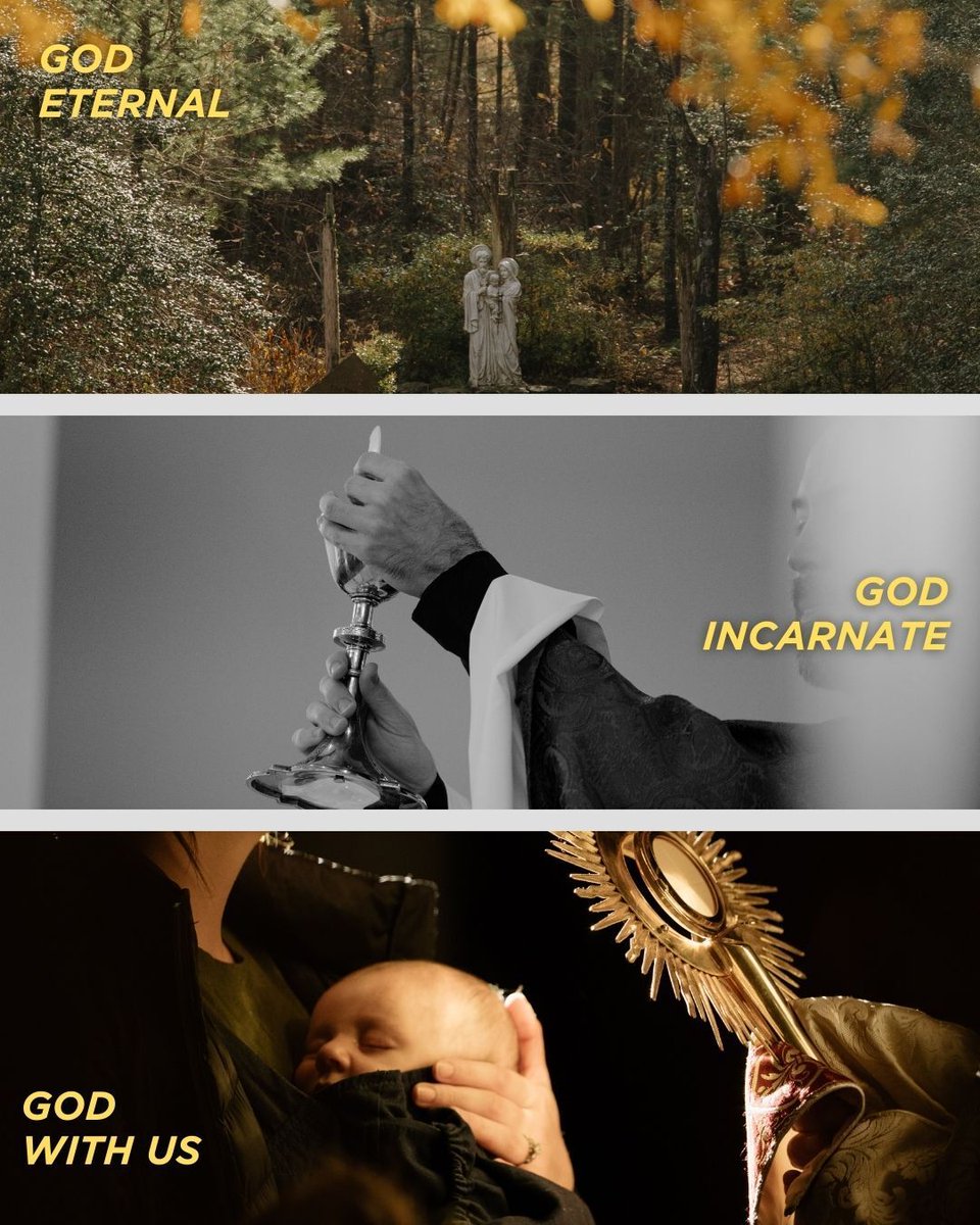 Life Teen tweet media