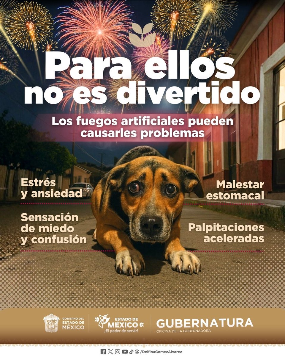 delfinagomeza's tweet photo. 🐶🎄🐱 En estas fiestas decembrinas recordemos que la pirotecnia genera miedo, estrés y desorientación en lomitos, michis y otros seres sintientes.

Cuidemos a nuestros compañeros que no tienen voz.

#ElPoderDeServir https://t.co/7OGF6Qy4Mr