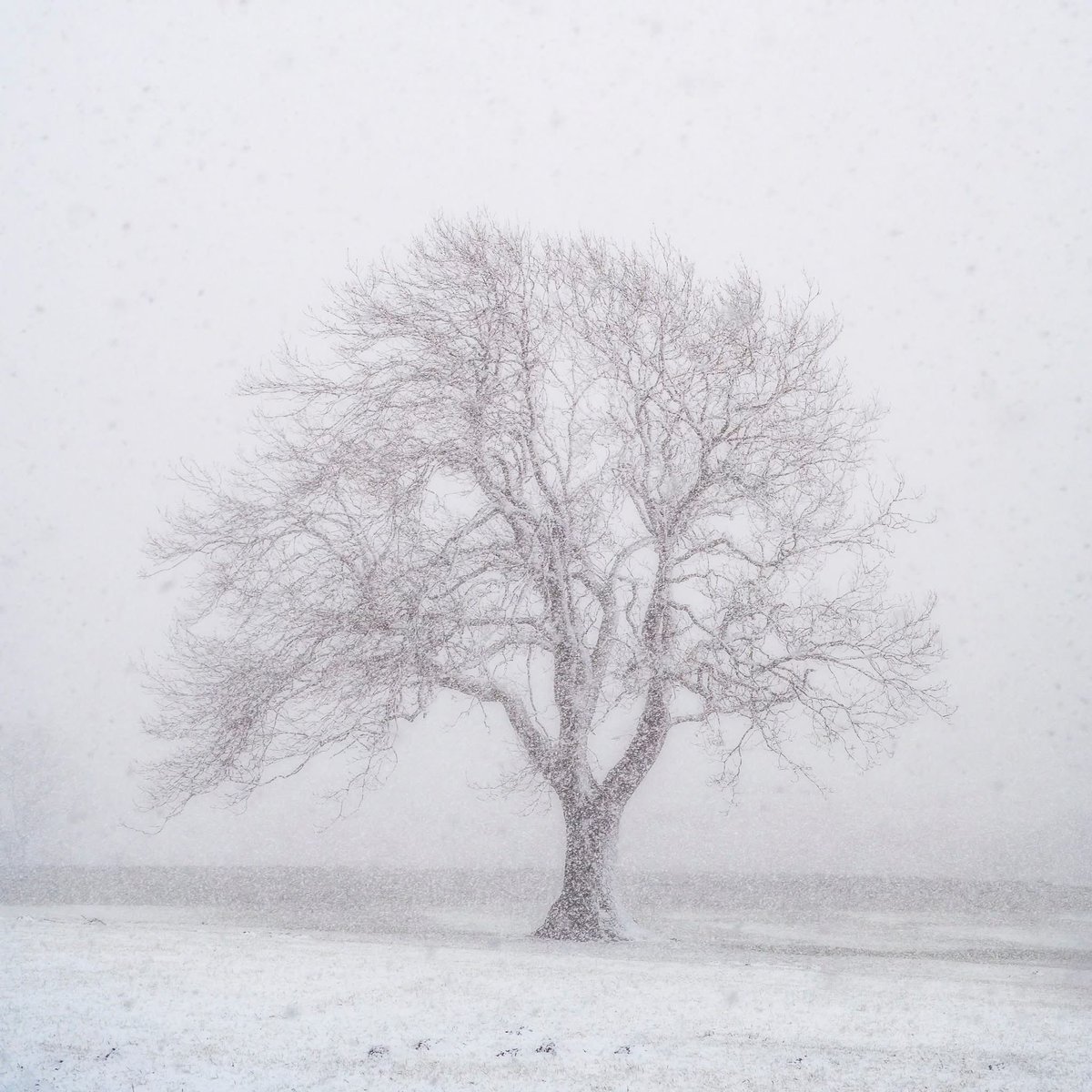 mark_lj's tweet image. Sway