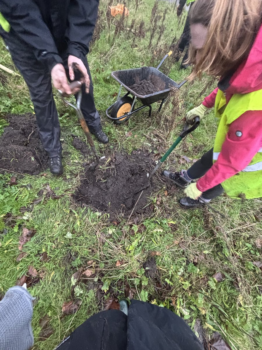 Wonderful to help plant cherry trees with Friends of Princes Park this month! Can’t wait to see them in bloom! 🌸