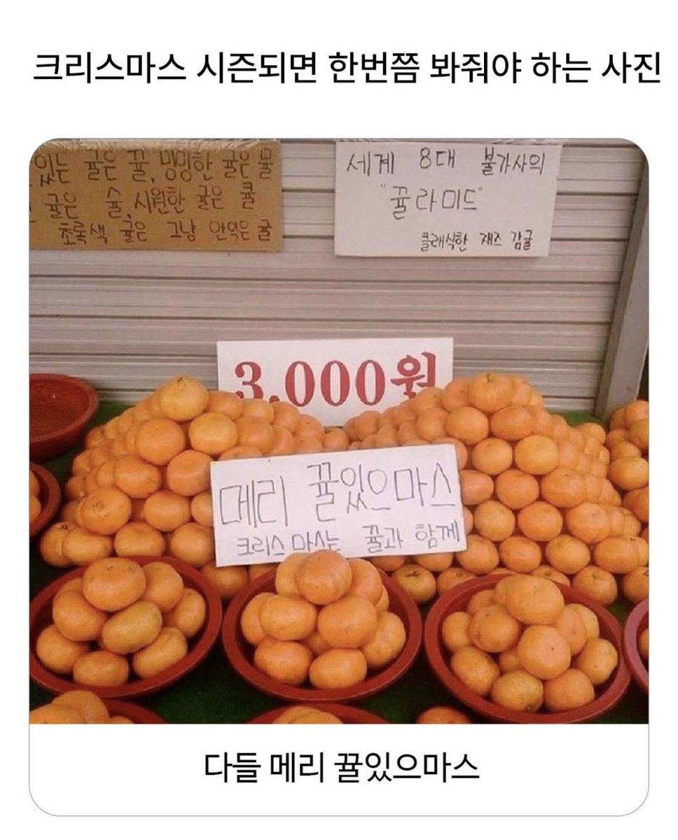 게살구이 tweet media