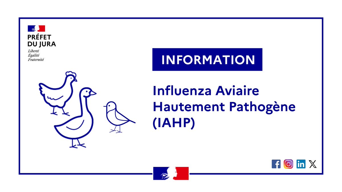 Image de Préfet du Jura - 🦢 Influenza aviaire – Situation à Aumont (39800)

ℹ️ L’influenza aviaire n’est pas transmissible à 