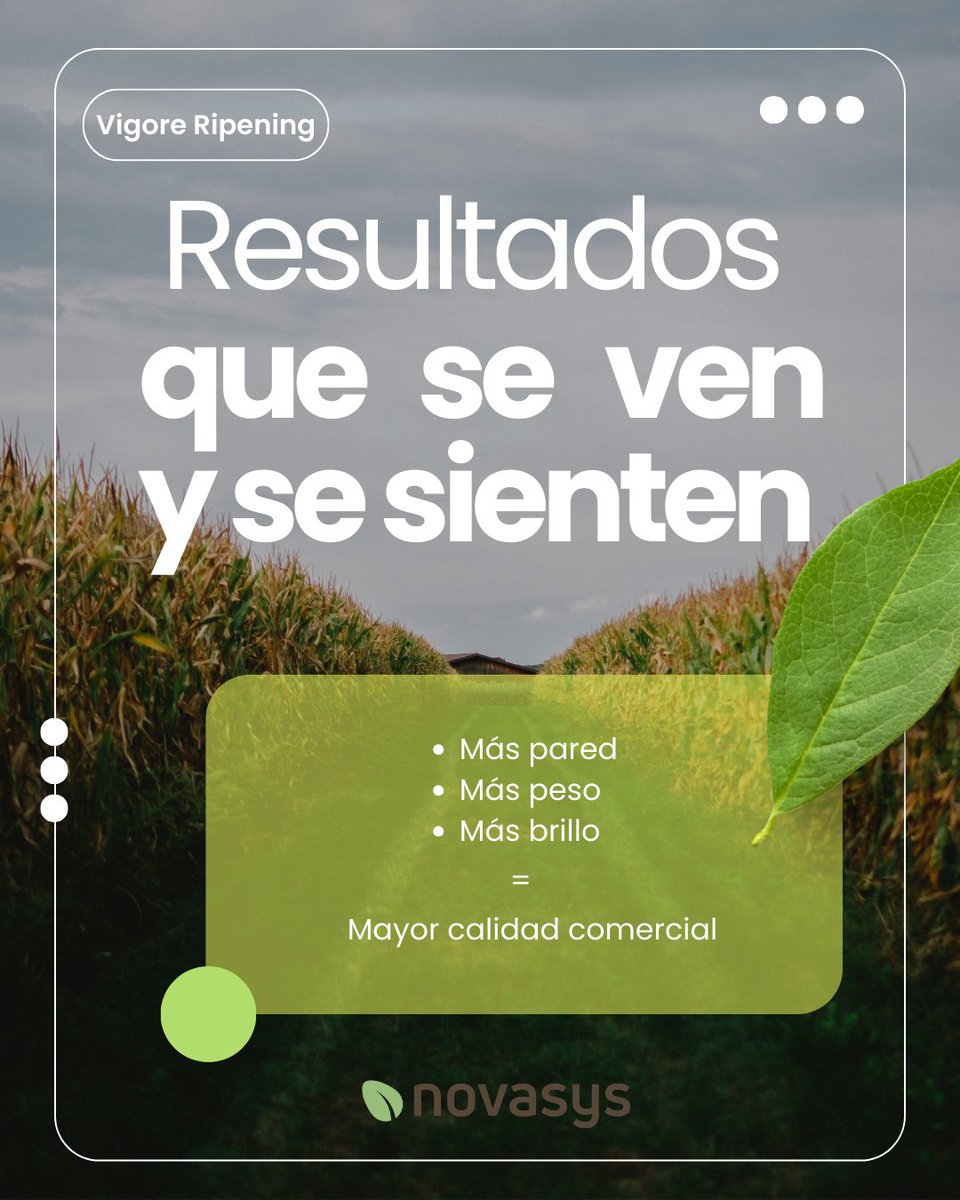🥑🍅🍆Vigore Ripening
Potencia el desarrollo y la calidad de tus frutos de forma natural y sostenible. Mejora tamaño, color, sabor y durabilidad, ayudando a que cada cosecha alcance su máximo potencial.