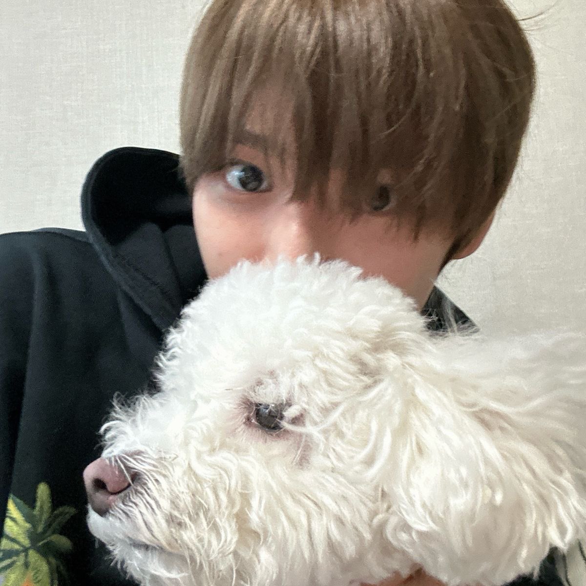 gie . . ₍ ⺣̤̬ ₎ tweet media