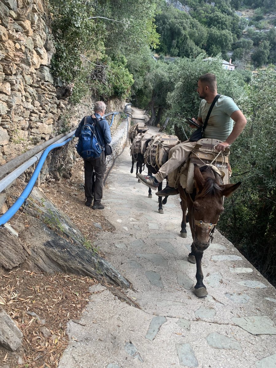 MountAthos tweet media