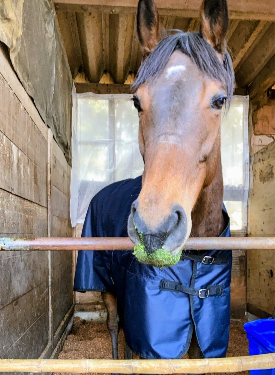 🤍💛💜𝕙𝕚𝕣𝕒𝕘𝕒𝕟𝕒💜💛🤍 (@hg_5656) / Posts / X