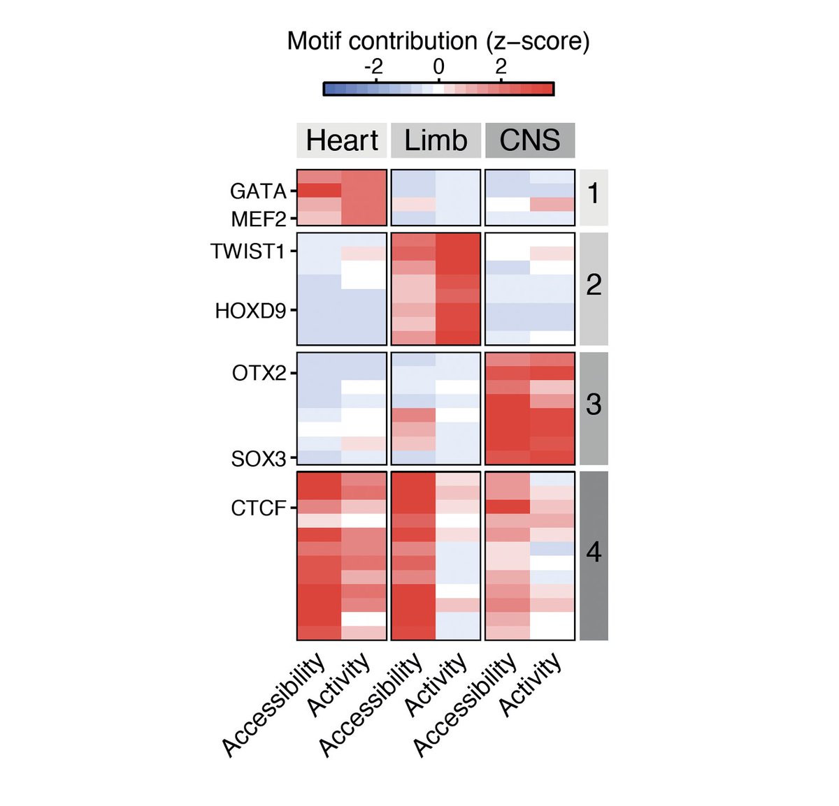 Shenzhi Chen tweet media