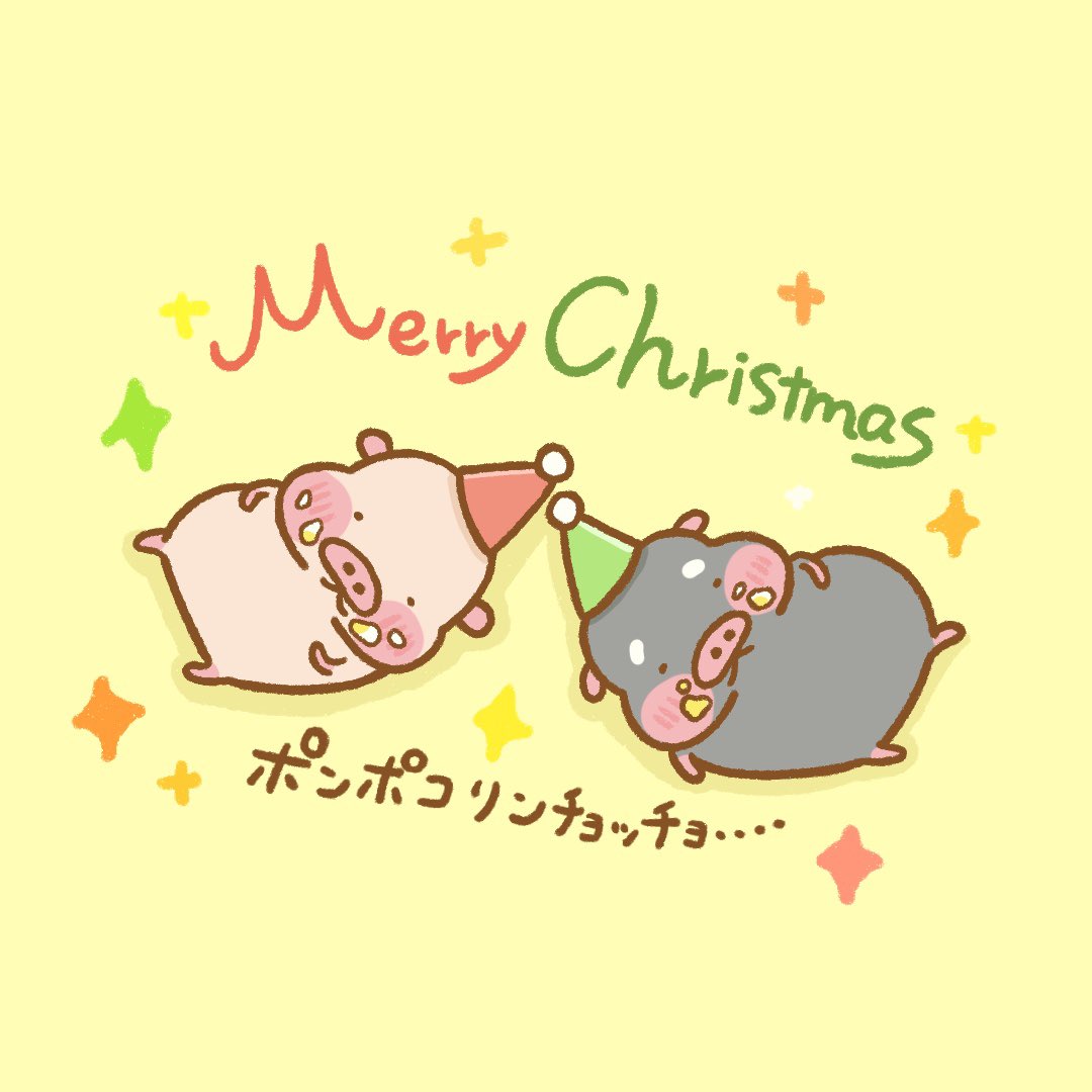 あんこ⭐️🐖 (@xuu1v8is0325) / Posts / X