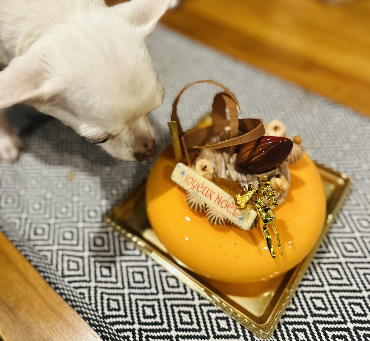 今更ペコすのーまんのお皿欲しかった、、、となってるが仕方ない。今年はデリーモでした。美味しいです、、、✨
興味深くなにこれ、、、とくんくんしてたけど、食べはしない☺️