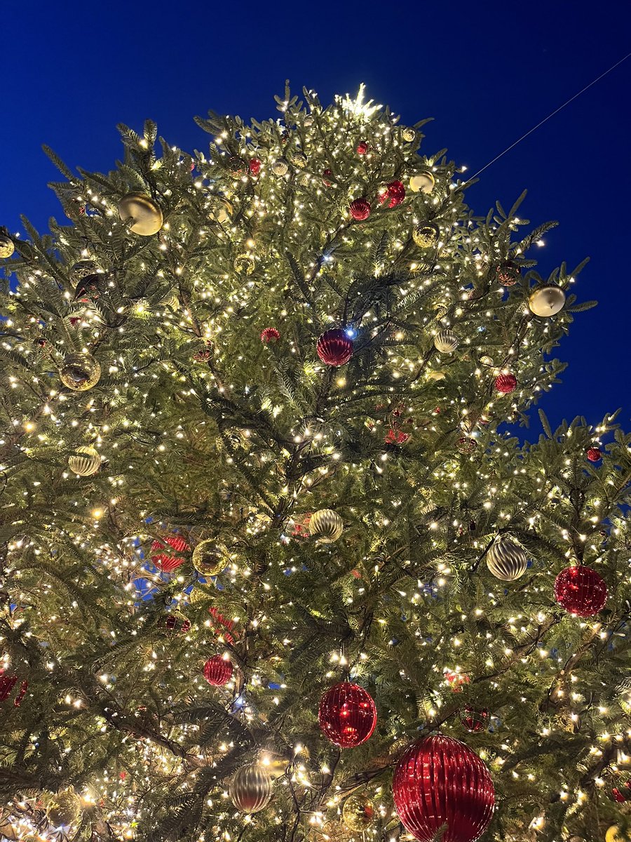 秋桜子 asako (@its_asako) / Posts / X