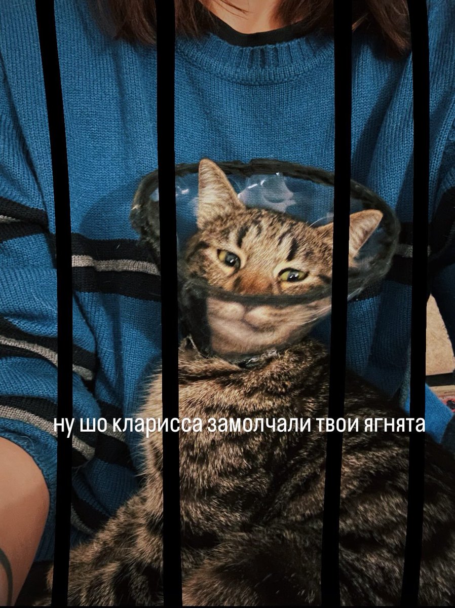 русское настроение (@confidencedance) on Twitter photo 