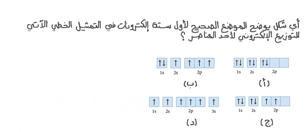 ليلى حكمي tweet media