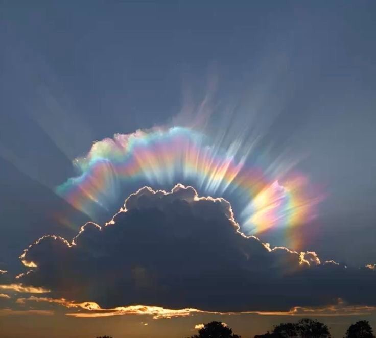 Estrellándonos 
Dic24/4Tevet
Venus llega a Capricornio♑️ intensifica la  energía de construcción y manifestación.
Mood de deseo de relaciones compromisos reales y estables.
Excelente día para planear estrategias en lo laboral para 2026 
Luna en ♓️ 👁️ con exceso de sensibilidad