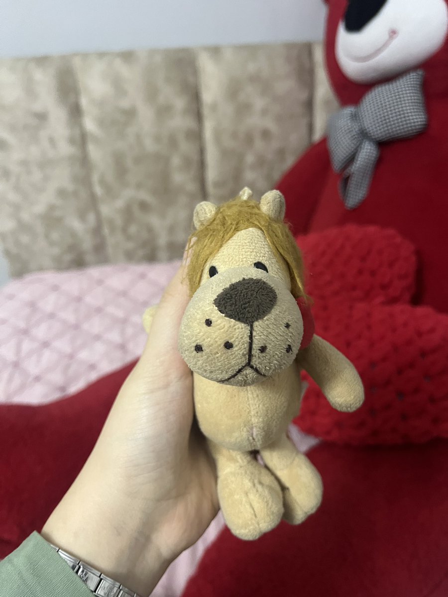 Çantamın yanında asılı dururken yere düşen aslanımı bana getiren çocuk, her aslanıma baktığımda sana dua ediyorum . 
#BuTopraktaİzinVar #pozitif